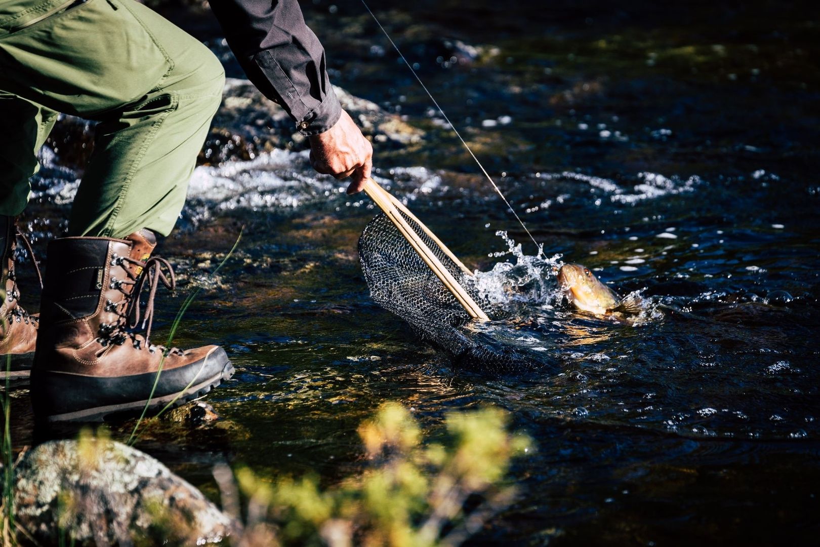Angler lands a fish with a net in a shallow moving stream